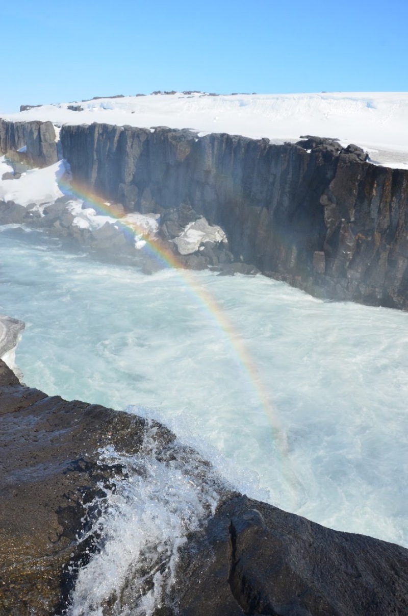 selfloss iceland selfloss iceland